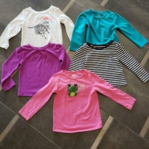 Girl's 2T Longsleeve Bundle